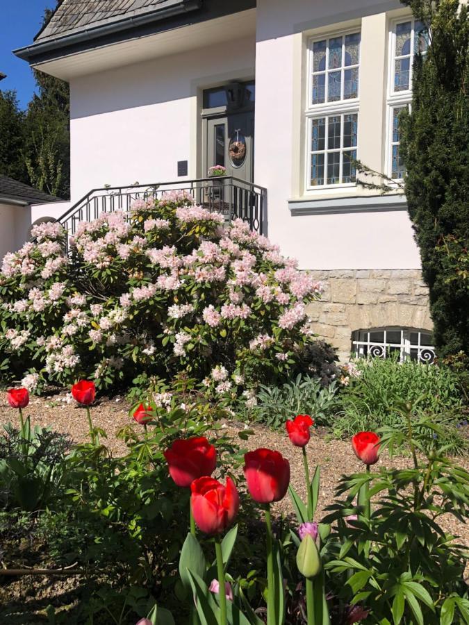Villa Rosa - Sky Detmold Extérieur photo